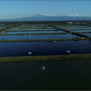 Philippines adopts in-pond raceway system