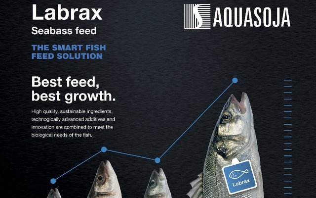 Aquasoja adds floating pellets to its seabass feed range