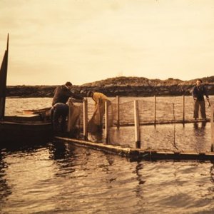 50 years of modern aquaculture