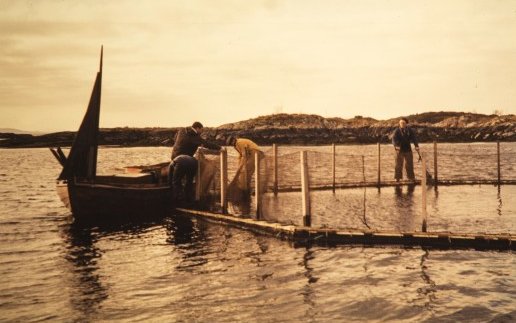 50 years of modern aquaculture