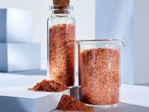 Study reveals krill meals potential for sustainable shrimp feed formulations