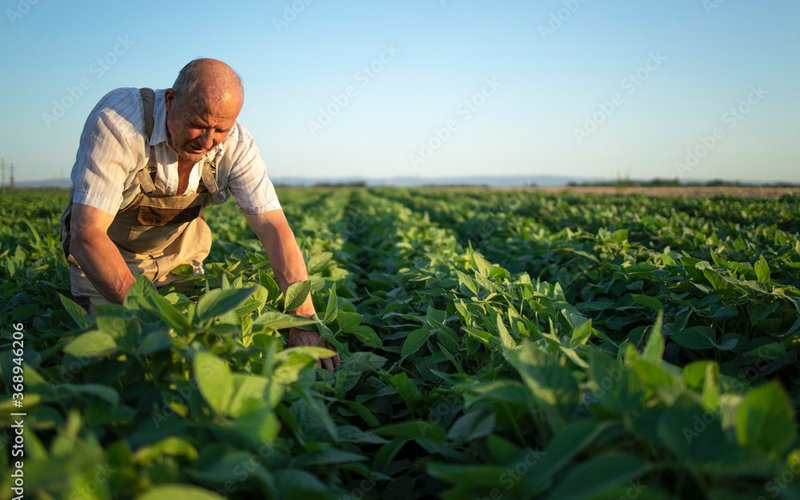 ADM reaches 100% soy traceability in Argentina, Brazil and Paraguay