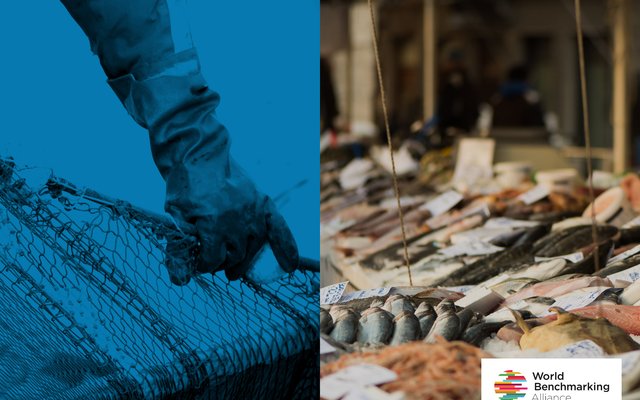 Inaugural Seafood Stewardship Index ranks the top seafood companies in the world