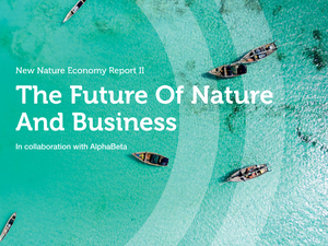 Sustainable aquaculture, an investment opportunity still facing technological challenges