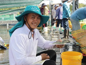 Skretting optimizes Vietnamese shrimp production through intensive farming program