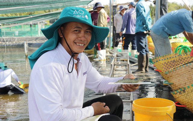 Skretting optimizes Vietnamese shrimp production through intensive farming program