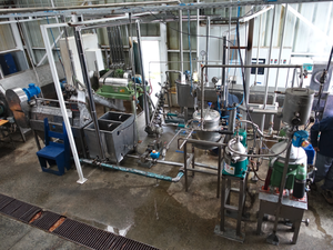 Novel solvent-free technology to extract omega-3 and phospholipids from fish waste to be scaled up commercially