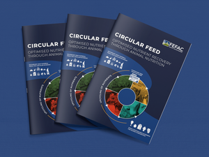 FEFAC releases report on optimized nutrient recovery through animal nutrition