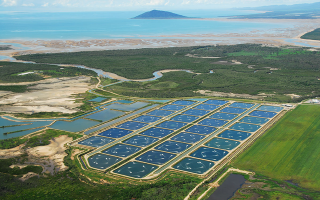 Aquaculture industry set to be a boon for Australia Norths economy