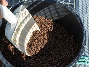 No potential hazards in Norwegian aquafeeds