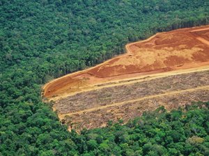 Open letter to support Amazon Soy Moratorium