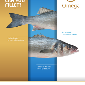 Aquasoja new feed range to improve fillet lipidic profile