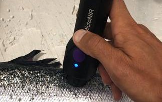 Cargills new micro NIR technology for quality testing in live salmon