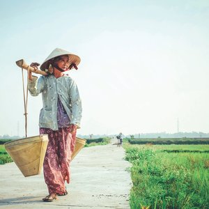 Vietnam spurs organic aquaculture