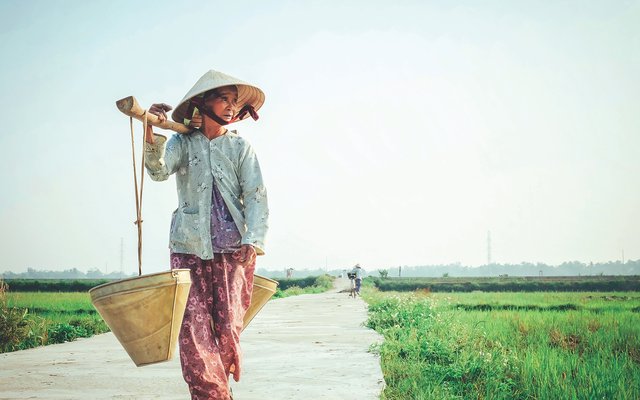 Vietnam spurs organic aquaculture