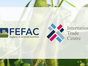 New schemes pass benchmarking process against FEFAC soy sourcing guidelines