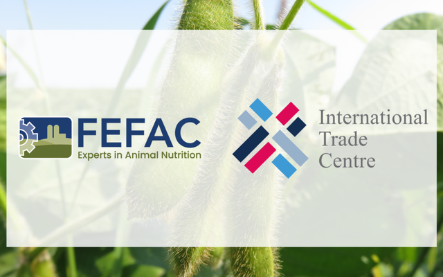 New schemes pass benchmarking process against FEFAC soy sourcing guidelines