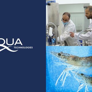 ViAqua Therapeutics raises $4.3 million for its oral, RNA-based shrimp health solution