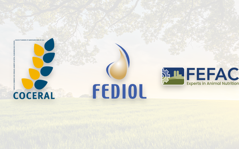 EU releases legislation against deforestation, industry associations concerned