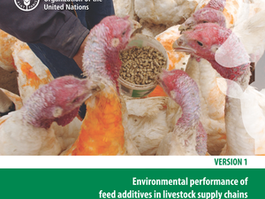 LEAP guidelines on feed additives