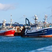 Fishmeal production increases and fish oil drops in 2021