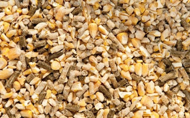 ICCF Manufacturing Process and Specification