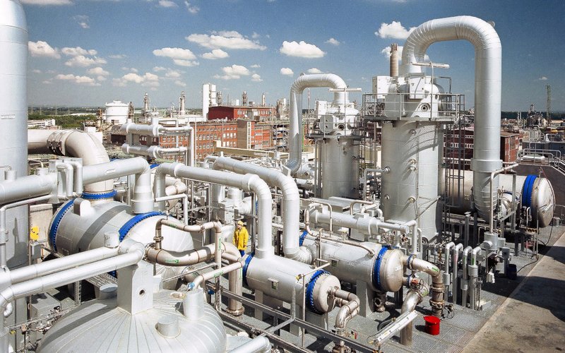 BASF restructures its nutrition ingredients business
