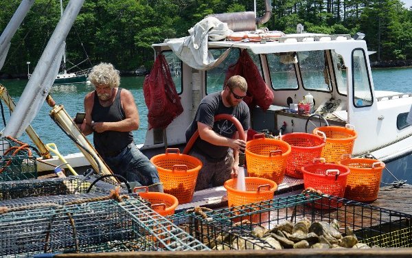 NOAA awards $3.1 million to small businesses to develop new aquaculture technologies