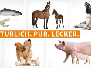 New Leiber yeast extracts portfolio with natural multi-functional components