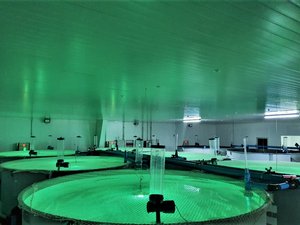 Salmofood expands its Aquaculture Experimental Center