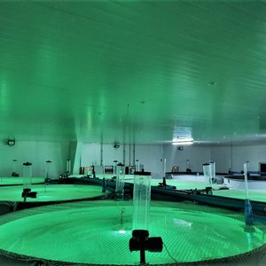 Salmofood expands its Aquaculture Experimental Center
