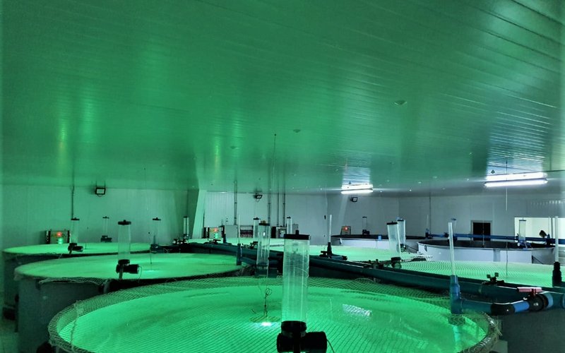 Salmofood expands its Aquaculture Experimental Center