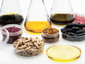 Innovad acquires natural extract company