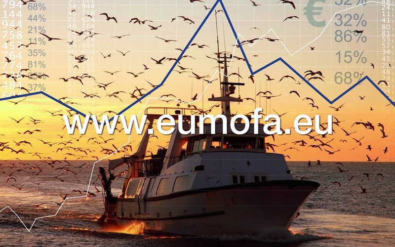 Norwegian salmon price decreases