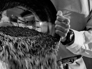 Agronutris, Bühler partnership to scaleup insect facility