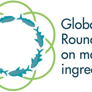 Sustainable Fisheries Partnership, IFFO unveil new Global Marine Ingredients Roundtable