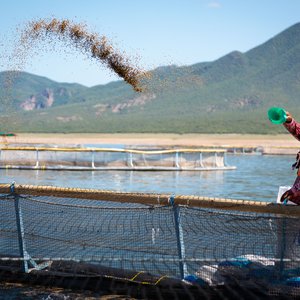 USSEC convenes Global Aquaculture Industry Advisory Council to dive into shaping a sustainable aquaculture industry