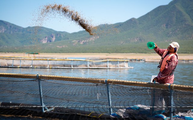 USSEC convenes Global Aquaculture Industry Advisory Council to dive into shaping a sustainable aquaculture industry