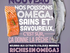 Algae-fed trout are now available in French supermarkets