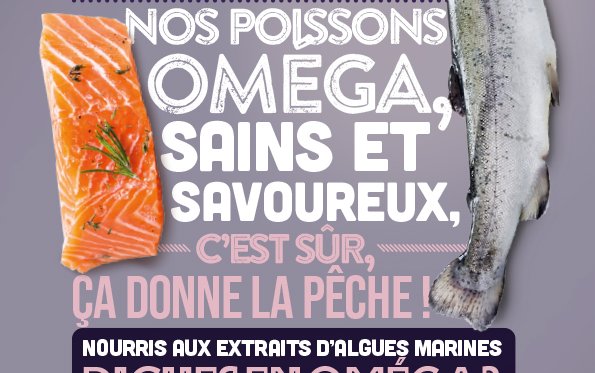 Algae-fed trout are now available in French supermarkets