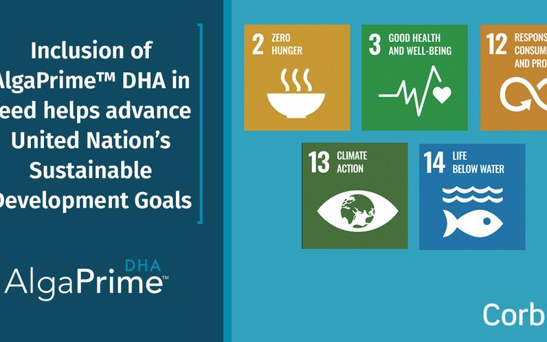 Corbion's omega-3 oil has lower carbon footprint than fish oil