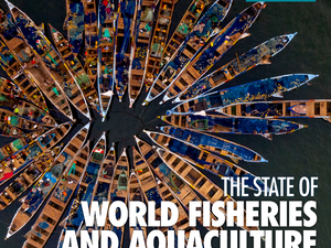 Global aquaculture reaches new record