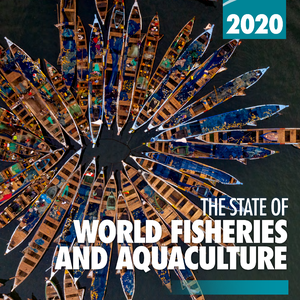 Global aquaculture reaches new record