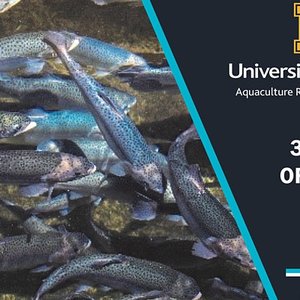 Registration opens for Fish Feed & Nutrition Workshop