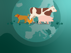 Continued decrease in sales of veterinary antibiotics in Europe