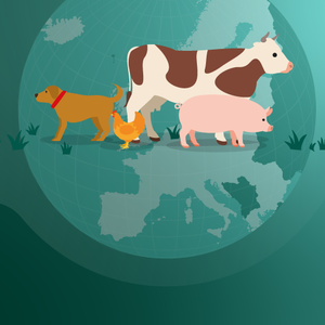 Continued decrease in sales of veterinary antibiotics in Europe