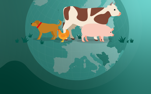 Continued decrease in sales of veterinary antibiotics in Europe