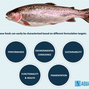 Aquasoja adds three formulations to its salmonid portfolio