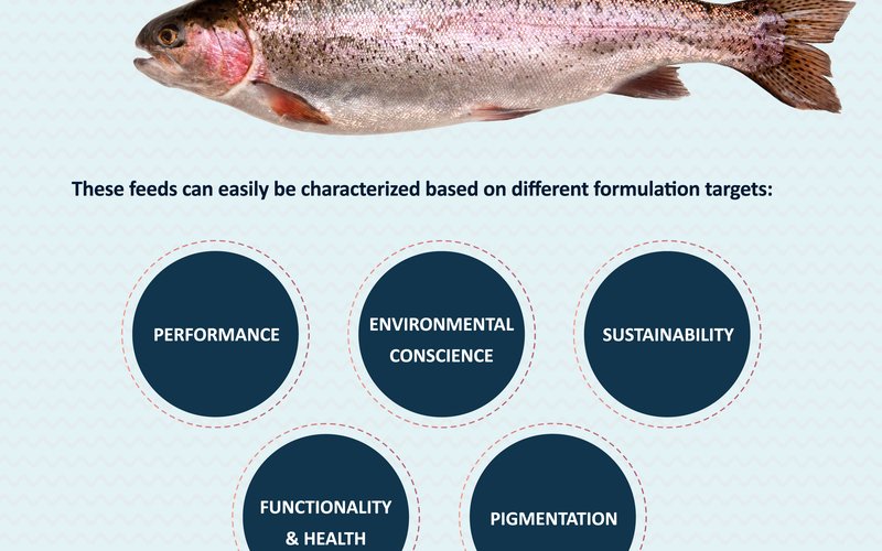 Aquasoja adds three formulations to its salmonid portfolio