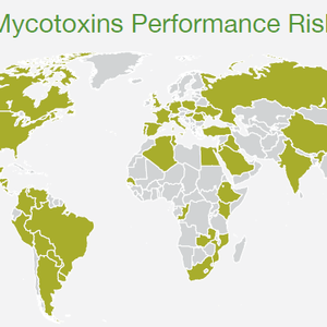 Cargill issues 2021 world mycotoxin report